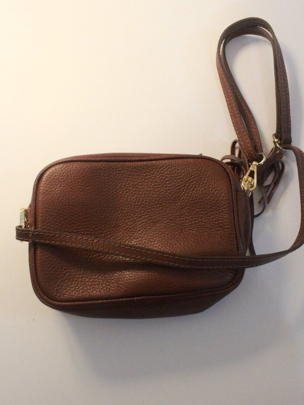 Brown Pebbled Tassel Camera Crossbody Bag